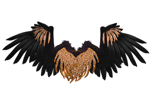 Free Bird Beak Wing Eagle Clipart Clipart Transparent Background