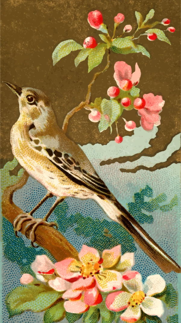 Free Bird Flower Flora Bird Clipart Clipart Transparent Background
