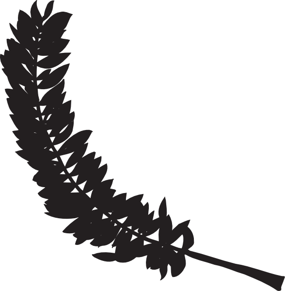 Free Bird Leaf Black And White Wing Clipart Clipart Transparent Background