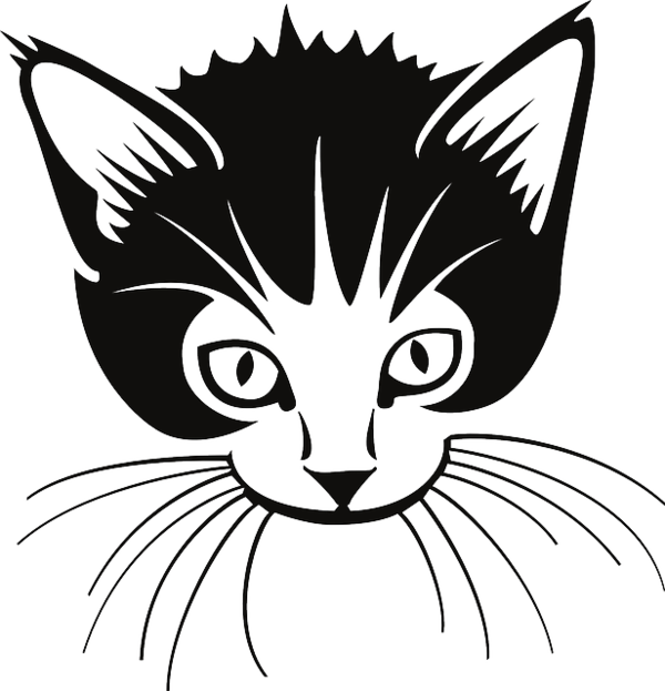Free Cat Cat Face Whiskers Clipart Clipart Transparent Background