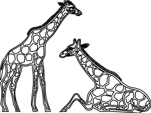 Free Giraffe Giraffe Line Art Giraffidae Clipart Clipart Transparent Background