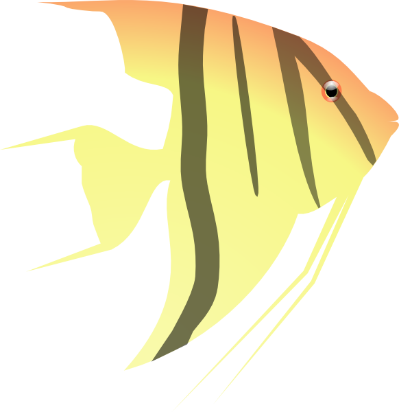 Free Fish Fish Beak Fin Clipart Clipart Transparent Background
