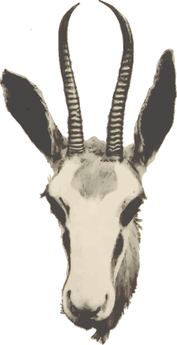 Free Deer Horn Goats Antelope Clipart Clipart Transparent Background