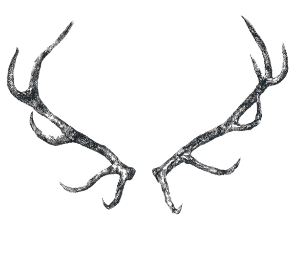 Free Hunting Antler Horn Black And White Clipart Clipart Transparent Background