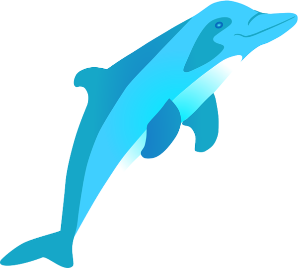 Free Dolphin Dolphin Aqua Fin Clipart Clipart Transparent Background