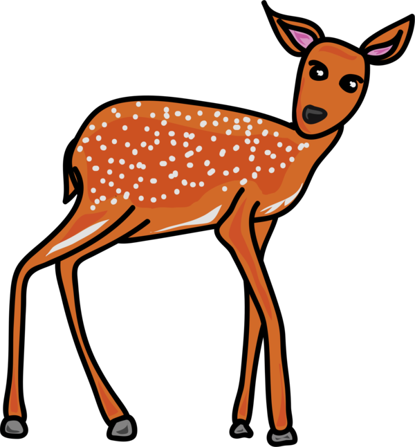 Free Deer Deer Wildlife Antelope Clipart Clipart Transparent Background