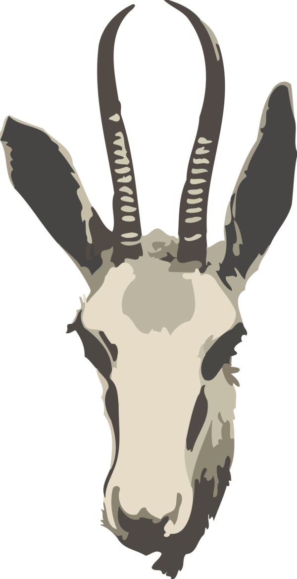 Free Deer Horn Head Antler Clipart Clipart Transparent Background