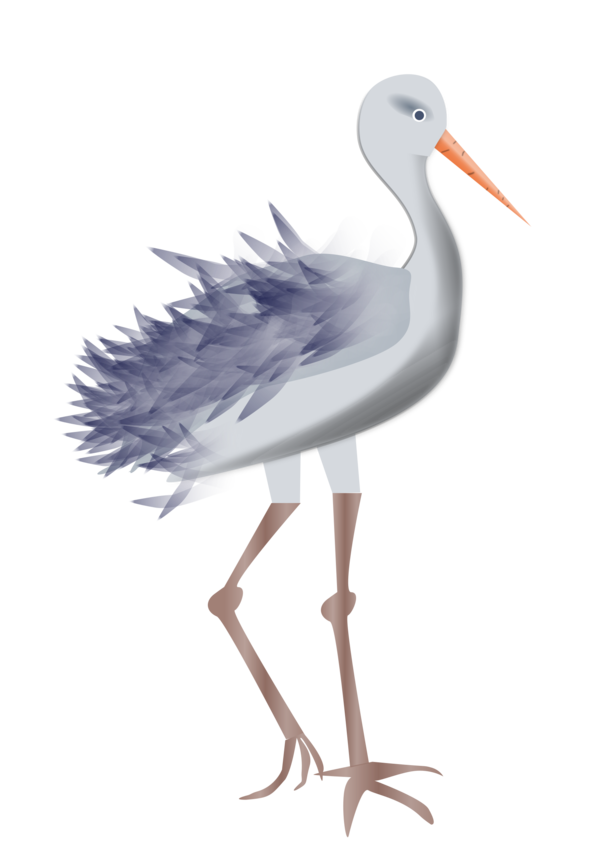 Free Bird Bird Beak White Stork Clipart Clipart Transparent Background