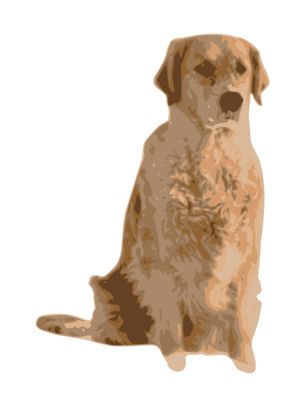 Free Dog Dog Retriever Snout Clipart Clipart Transparent Background