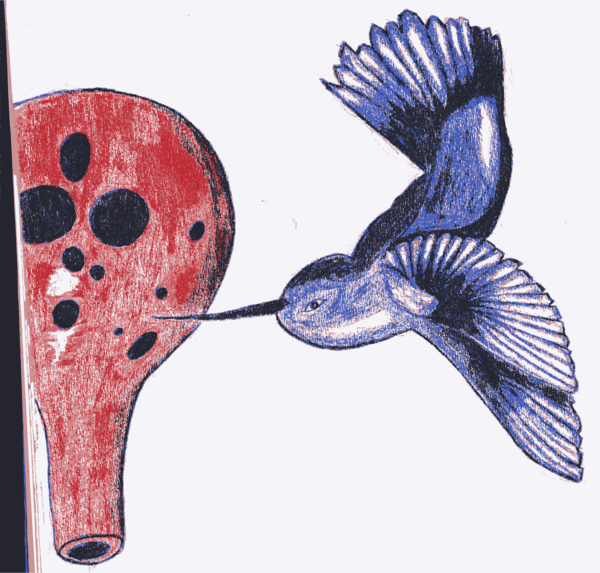 Free Bird Beak Fish Wing Clipart Clipart Transparent Background