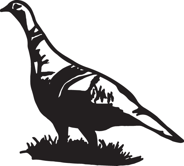 Free Hunting Beak Bird Black And White Clipart Clipart Transparent Background