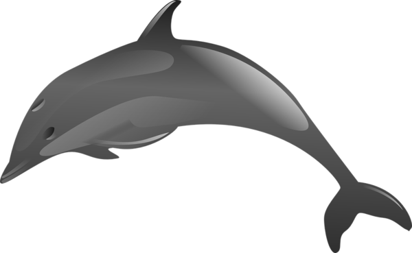 Free Dolphin Dolphin Black And White Short Beaked Common Dolphin Clipart Clipart Transparent Background