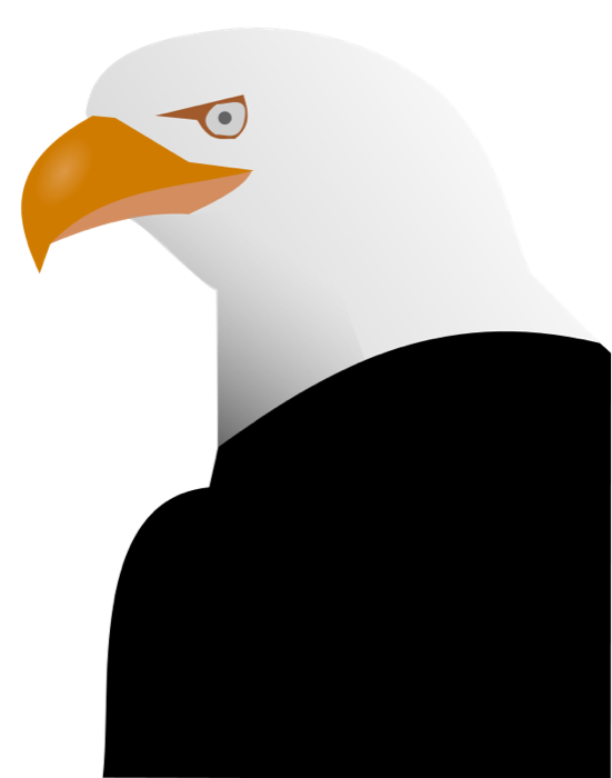 Free Bird Beak Bird Bird Of Prey Clipart Clipart Transparent Background
