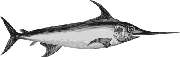 Free Fishing Fish Black And White Swordfish Clipart Clipart Transparent Background