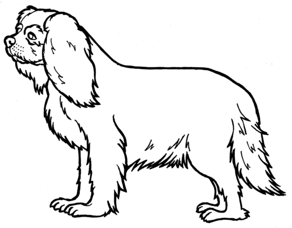Free Dog Dog Black And White Line Art Clipart Clipart Transparent Background