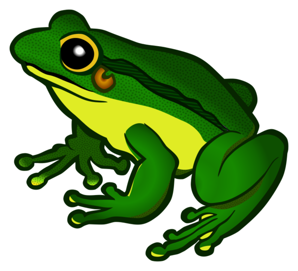 Free Frog Toad Tree Frog Frog Clipart Clipart Transparent Background