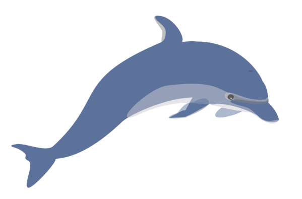 Free Dolphin Dolphin Wildlife Fin Clipart Clipart Transparent Background