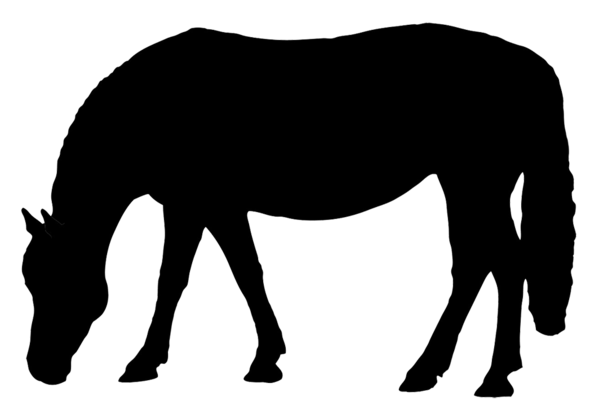 Free Horse Horse Mane Black And White Clipart Clipart Transparent Background