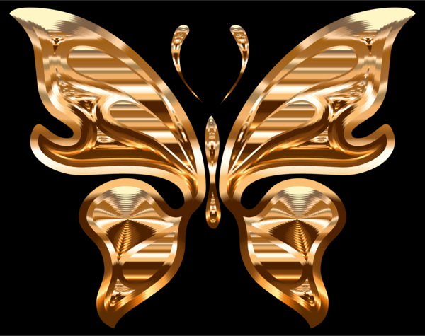 Free Butterfly Moths And Butterflies Butterfly Insect Clipart Clipart Transparent Background