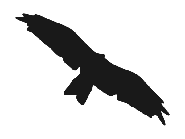 Free Bird Black And White Beak Hand Clipart Clipart Transparent Background