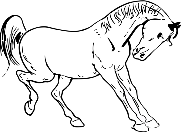 Free Walking Horse Line Art Black And White Clipart Clipart Transparent Background