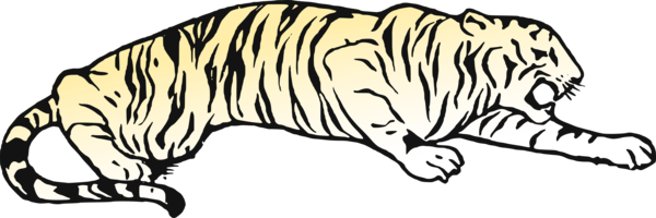 Free Bear Wildlife Tiger Line Art Clipart Clipart Transparent Background