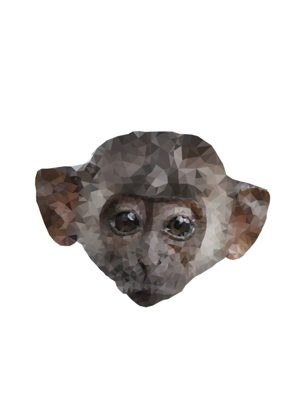 Free Gorilla Snout Fur Clipart Clipart Transparent Background