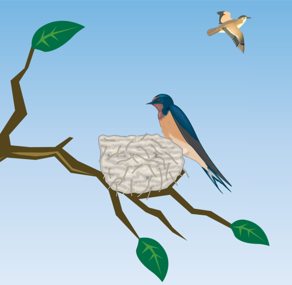 Free Bird Bird Ecosystem Beak Clipart Clipart Transparent Background