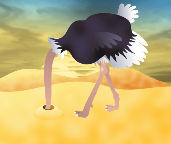 Free Bird Ostrich Bird Ratite Clipart Clipart Transparent Background