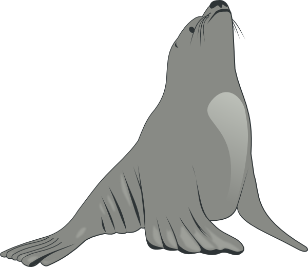 Free Bird Seals Beak Bird Clipart Clipart Transparent Background