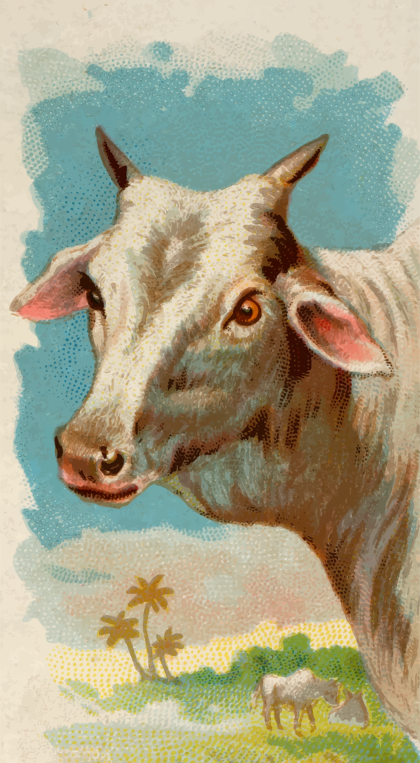Free Goat Goats Horn Watercolor Paint Clipart Clipart Transparent Background