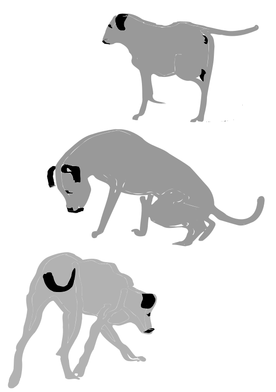 Free Cat Dog Black And White Line Art Clipart Clipart Transparent Background