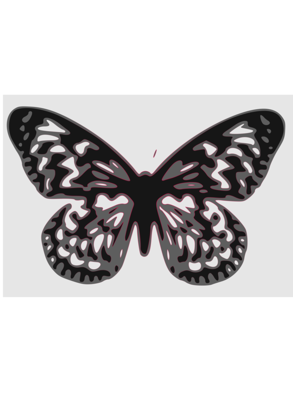 Free Butterfly Butterfly Moths And Butterflies Black And White Clipart Clipart Transparent Background