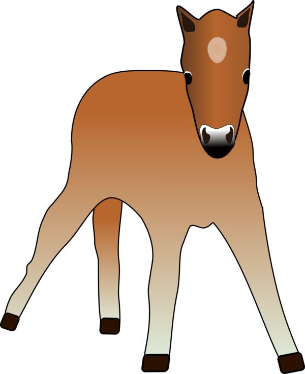 Free Camel Horse Deer Nose Clipart Clipart Transparent Background