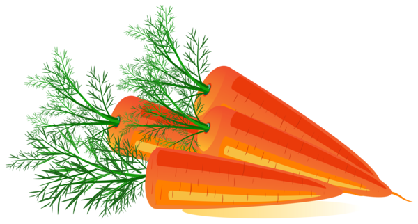 Free Fish Carrot Vegetable Food Clipart Clipart Transparent Background