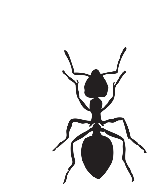 Free Insect Insect Black And White Pest Clipart Clipart Transparent Background