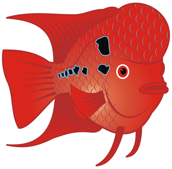 Free Fish Fish Cartoon Seafood Clipart Clipart Transparent Background
