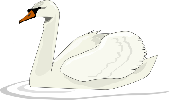 Free Bird Swan Beak Water Bird Clipart Clipart Transparent Background