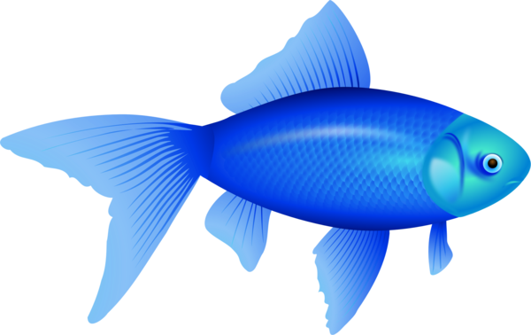 Free Fish Fish Electric Blue Fin Clipart Clipart Transparent Background