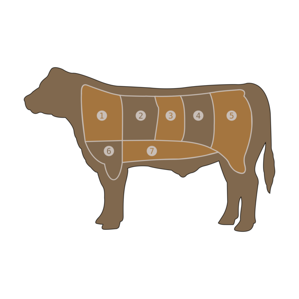 Free Cow Livestock Ox Snout Clipart Clipart Transparent Background