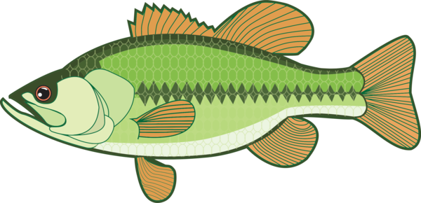 Free Fishing Fish Seafood Fish Products Clipart Clipart Transparent Background