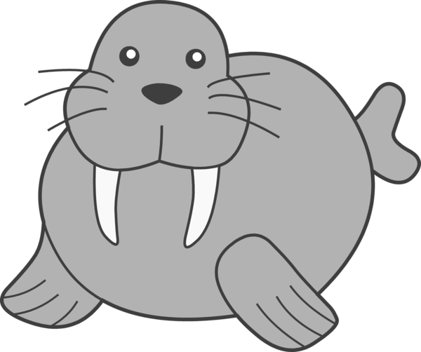Free Bear Seals Facial Expression Nose Clipart Clipart Transparent Background