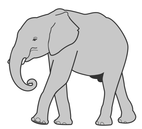 Free Elephant Elephant Indian Elephant Black And White Clipart Clipart Transparent Background