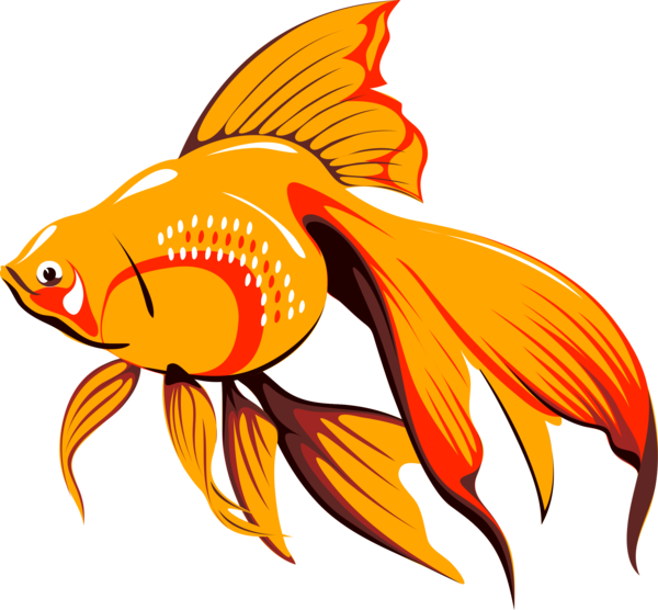 Free Fish Fish Tail Seafood Clipart Clipart Transparent Background