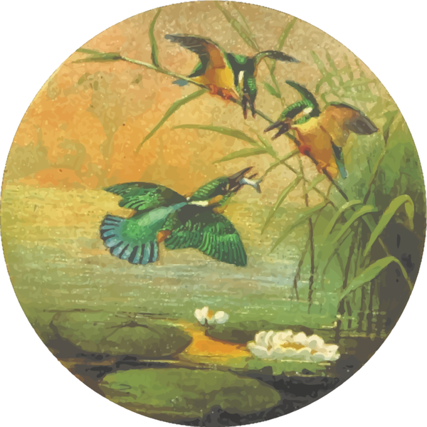 Free Bird Ecosystem Bird Painting Clipart Clipart Transparent Background