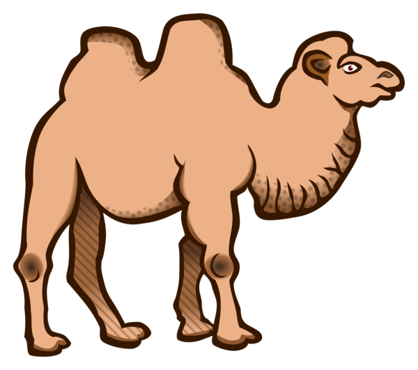 Free Camel Camel Arabian Camel Camel Like Mammal Clipart Clipart Transparent Background