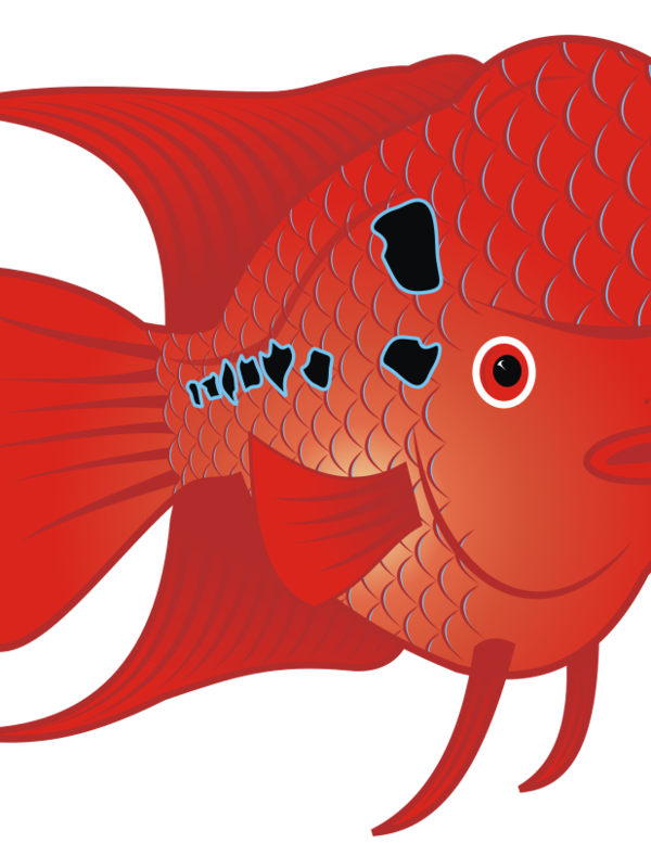 Free Fish Fish Cartoon Clipart Clipart Transparent Background