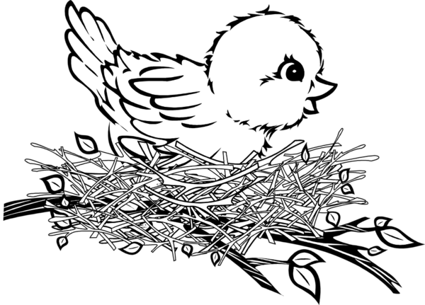 Free Bird Line Art Black And White Beak Clipart Clipart Transparent Background