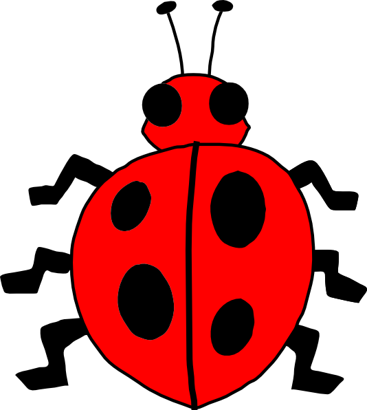 Free Insect Ladybird Insect Clipart Clipart Transparent Background