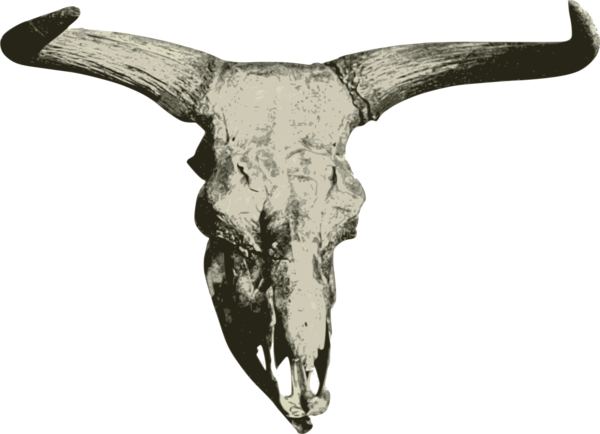 Free Cat Horn Bone Skull Clipart Clipart Transparent Background